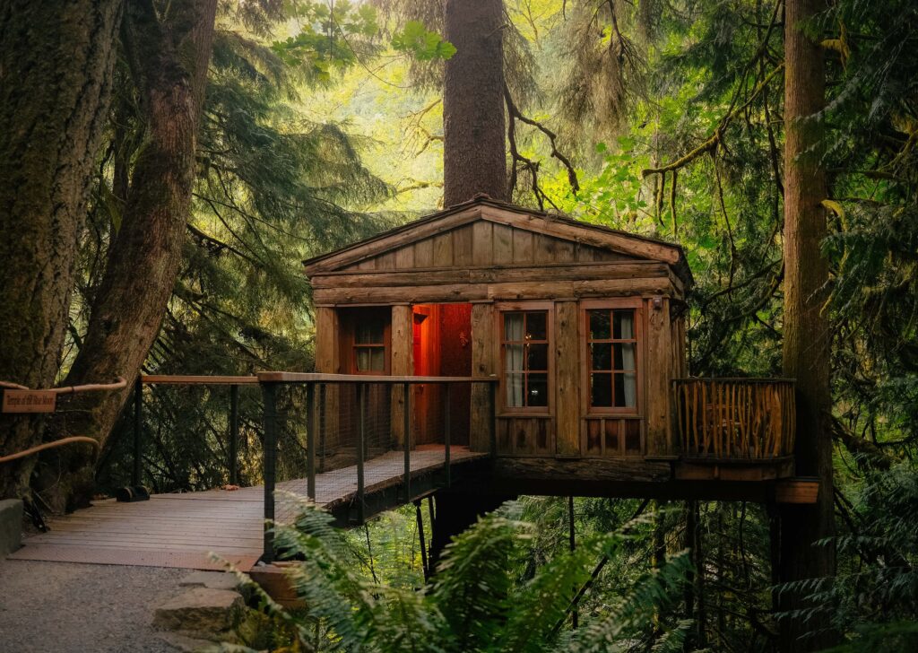 Treehouse wedding venue near Seattle, Washington